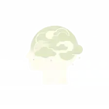 Brain fog and mood swings icon